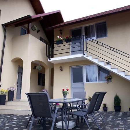 Casa Luisa Appartement Călimăneşti Buitenkant foto