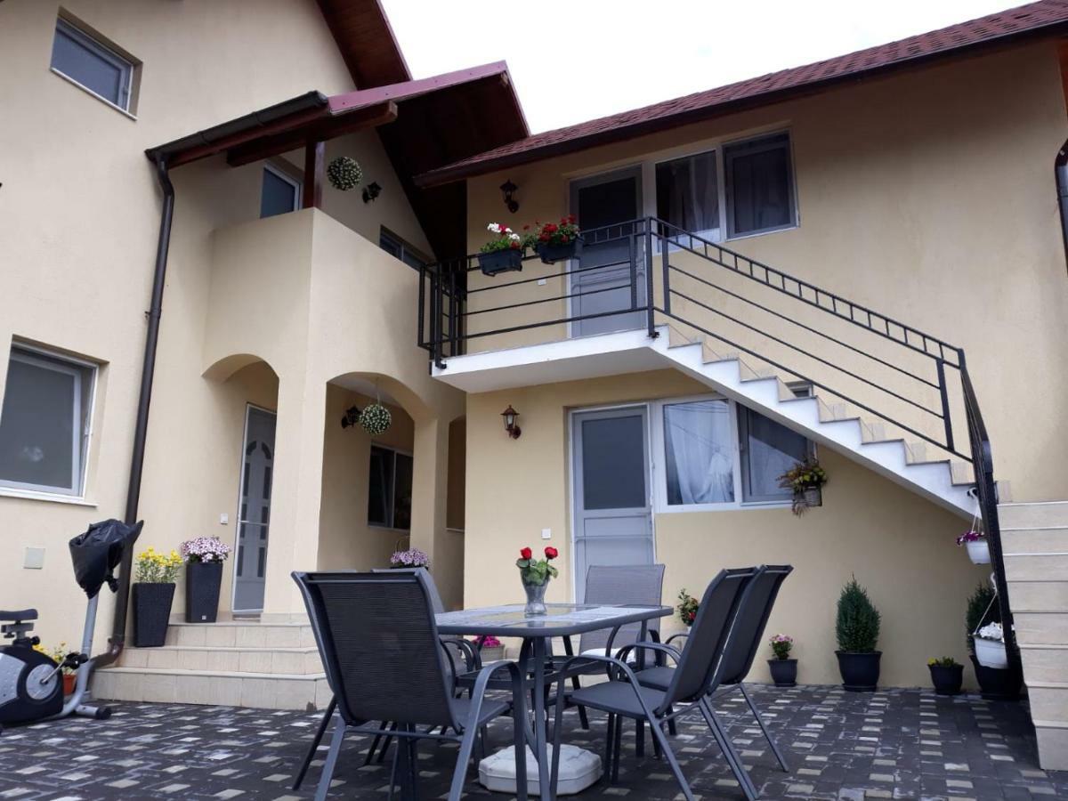 Casa Luisa Appartement Călimăneşti Buitenkant foto